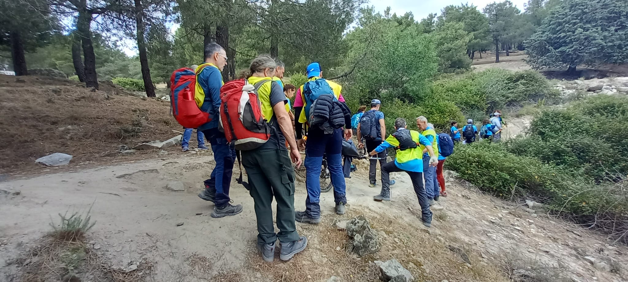 Monte del Telegrafo (Moralzarzal)